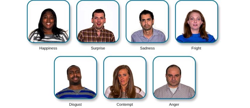 Images depicting facial expressions of the seven universal emotions: from right to left on the top row is happiness, surprise, sadness, fright. And on the second row is disgust, contempt, anger.