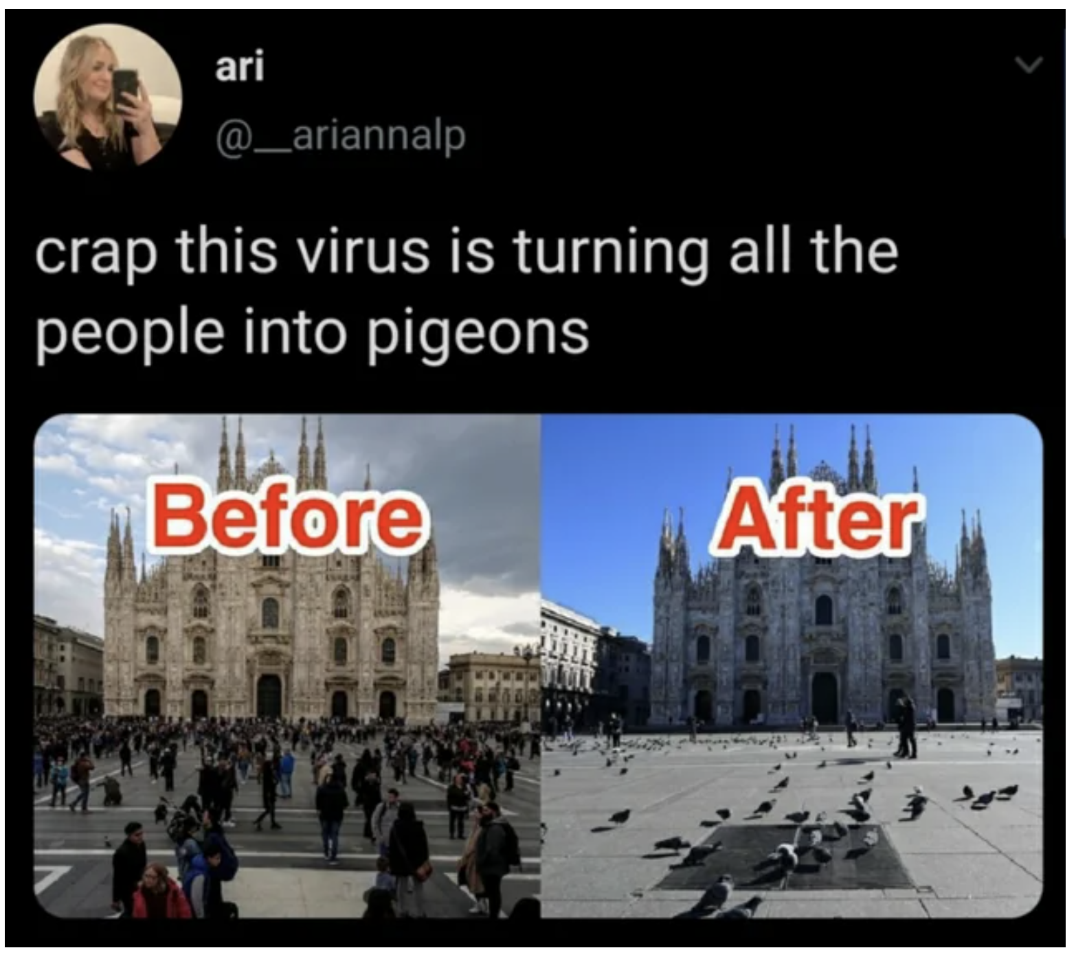 A twitter post where someone has posted a picture of Notre Dame in Paris with human tourists before COVID-19 and then after when there are no people only birds. The post comments: "crap this virus is turning all the people into pidgeons"
